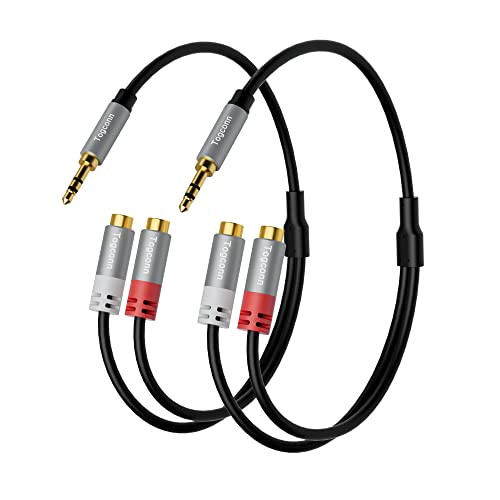 Amazon | 3.5mm - 2 RCAケーブル [24K金メッキ] ステレオ RCA Y